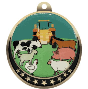 Fair Insert Medal - Click to enlarge