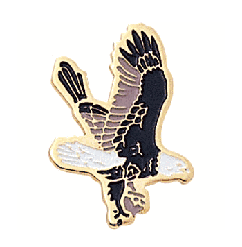 Falcon Mascot Lapel Pins with Color Finish - Click to enlarge