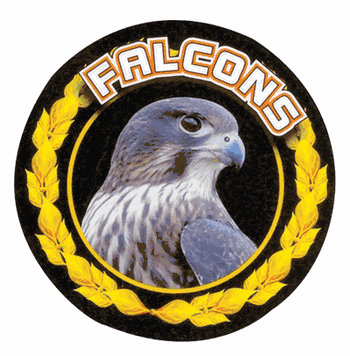 Falcons Colorful Mascot Medal Insert - Click to enlarge