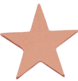 Flat Star - 1 Inch Bronze Pin (BR Series)