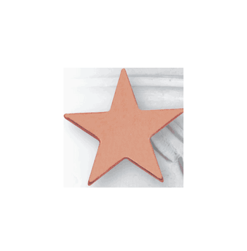 Flat Star - 1 Inch Bronze Pin (BR Series) - Click to enlarge