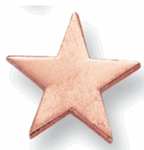 Flat Star - 3/4 Inch Bronze Pin