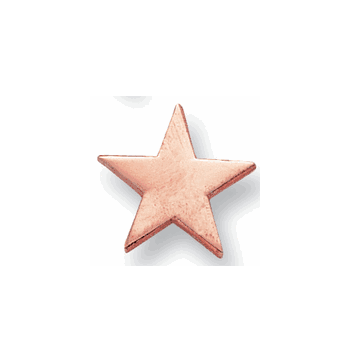 Flat Star - 3/4 Inch Bronze Pin - Click to enlarge