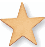 Flat Star Pin - 1 Inch Flat Gold (BR Series)