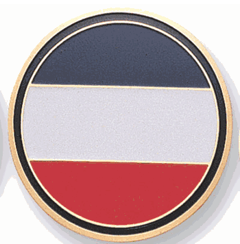 Forscom Medal Insert (Etched) - Click to enlarge