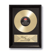 Framed Record Breaker Award