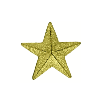 Gold Star Lapel Pins - Click to enlarge