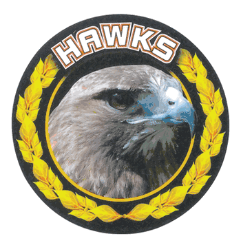 Hawks Mascot Medal Insert - Click to enlarge