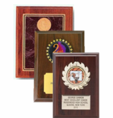 Insert Plaque Awards
