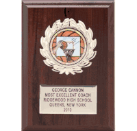 Insert Plaque Awards