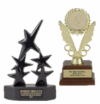 Insert Trophies and Awards