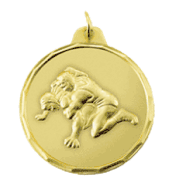 IR Series Wrestling Hold - 1 1/2" Medals - Click to enlarge
