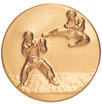 Karate (501161) Litho Medal Insert - Click to enlarge
