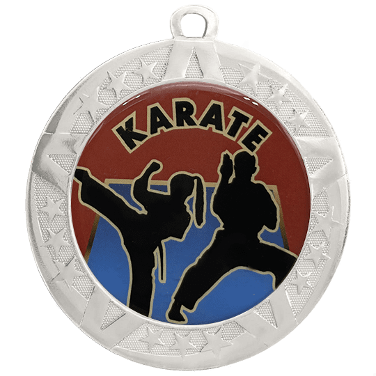 Karate Coin Design Karate T-Series Medals with a silver frame and 2 inch Epoxy insert.