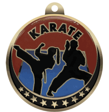 Karate Insert Medal - Click to enlarge