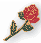 Long Stem Red Rose Flower Pins