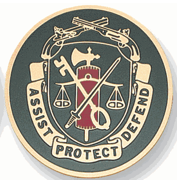 M.P. Regimental Crest Medal Insert (Etched) - Click to enlarge