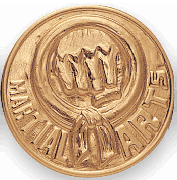 Martial Arts Litho Medal Insert - Click to enlarge
