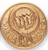 Martial Arts Litho Medal Insert