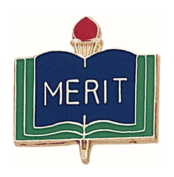 Merit Lapel Pins - Click to enlarge