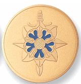 Military Intelligence Medal Insert (Etched)