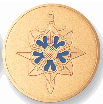 Military Intelligence Medal Insert (Etched) - Click to enlarge