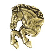 Mustang Lapel Pins