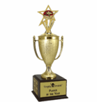 MVP Trophies and Awards