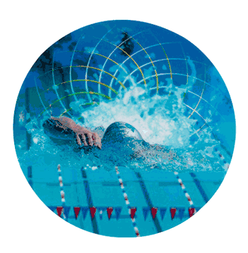 Mylar Decal Medal Insert: Swimming - Click to enlarge