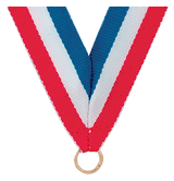 Narrow Neck Ribbon (32 x 7/8")