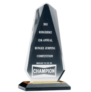 Obelisk Acrylic Award - Click to enlarge