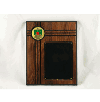 Outstanding Teacher Plaque - Click to enlarge