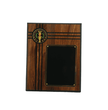 Outstanding Volunteer Plaque - Click to enlarge