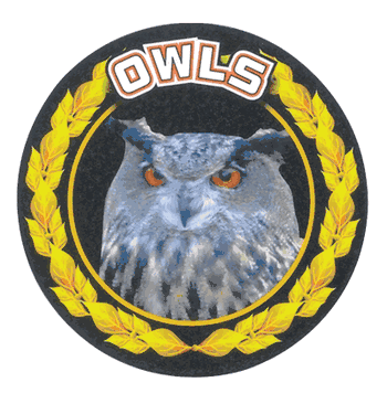 Owls Colorful Mascot Medal Insert - Click to enlarge
