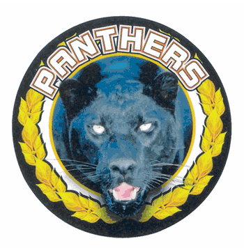 Panthers Medal Mascot Medal Insert - Click to enlarge