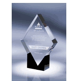 Paradigm Award Crystal