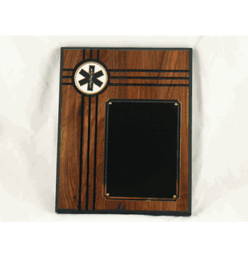 Paramedic Plaque - Click to enlarge