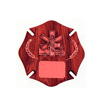 Paramedic Plaque - Click to enlarge