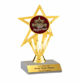 Star Performer Participation Insert Trophy