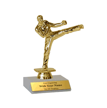 Participation Trophies - Karate - Click to enlarge