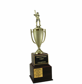 Perpetual Baseball Trophy