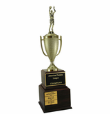 Perpetual Basketball Trophy