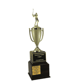 Perpetual Fantasy Team Cup Trophies