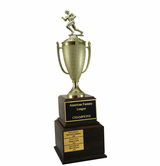 Perpetual Football Trophy