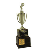 Perpetual Series Trophy - Paintball