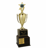 Perpetual Series Trophy - Spelling