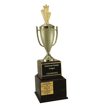 Perpetual Series Trophy - Star Performer - Click to enlarge