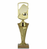 Pickleball Star Column Trophy