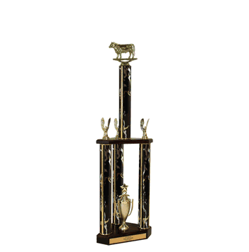 Quick-Ship Two-Tier 3-Column Trophies - Steer - Click to enlarge