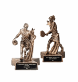 Resin Trophies for Sports